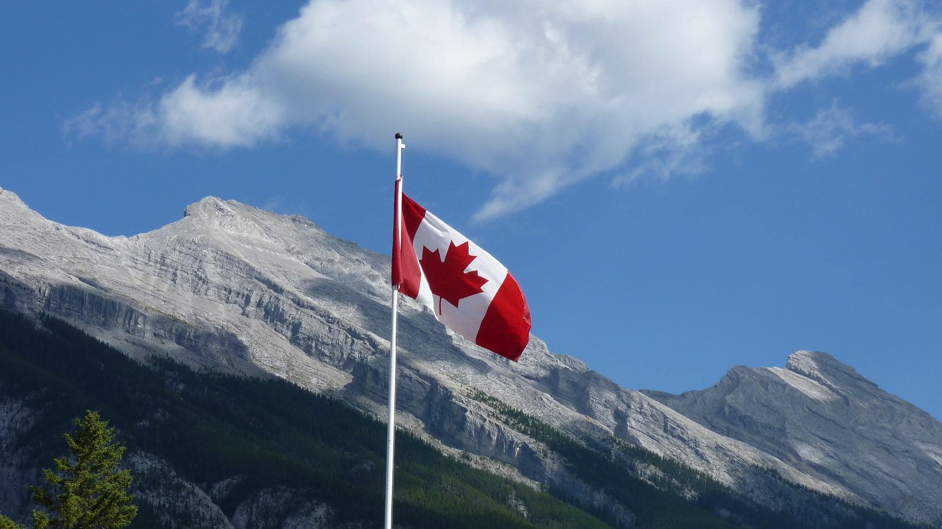 Immigrate to Canada