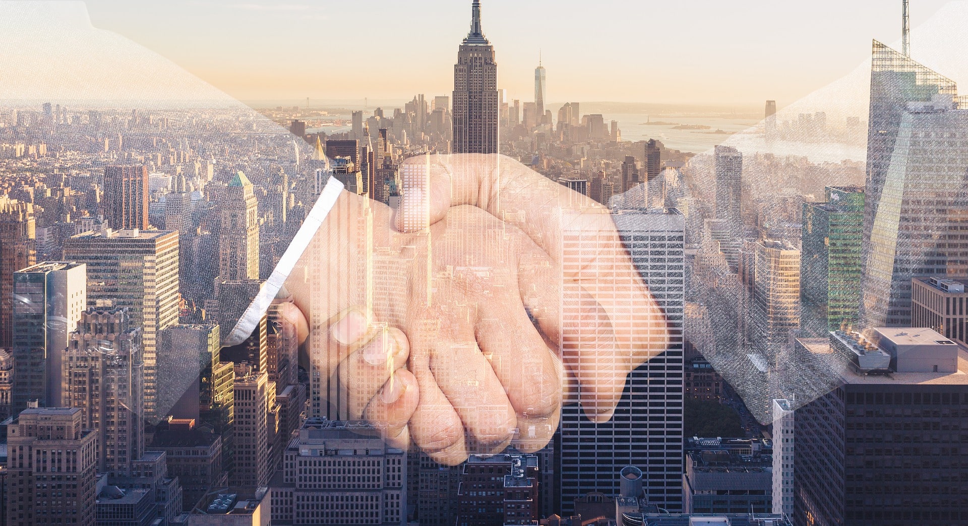 Immigration & Business Laws