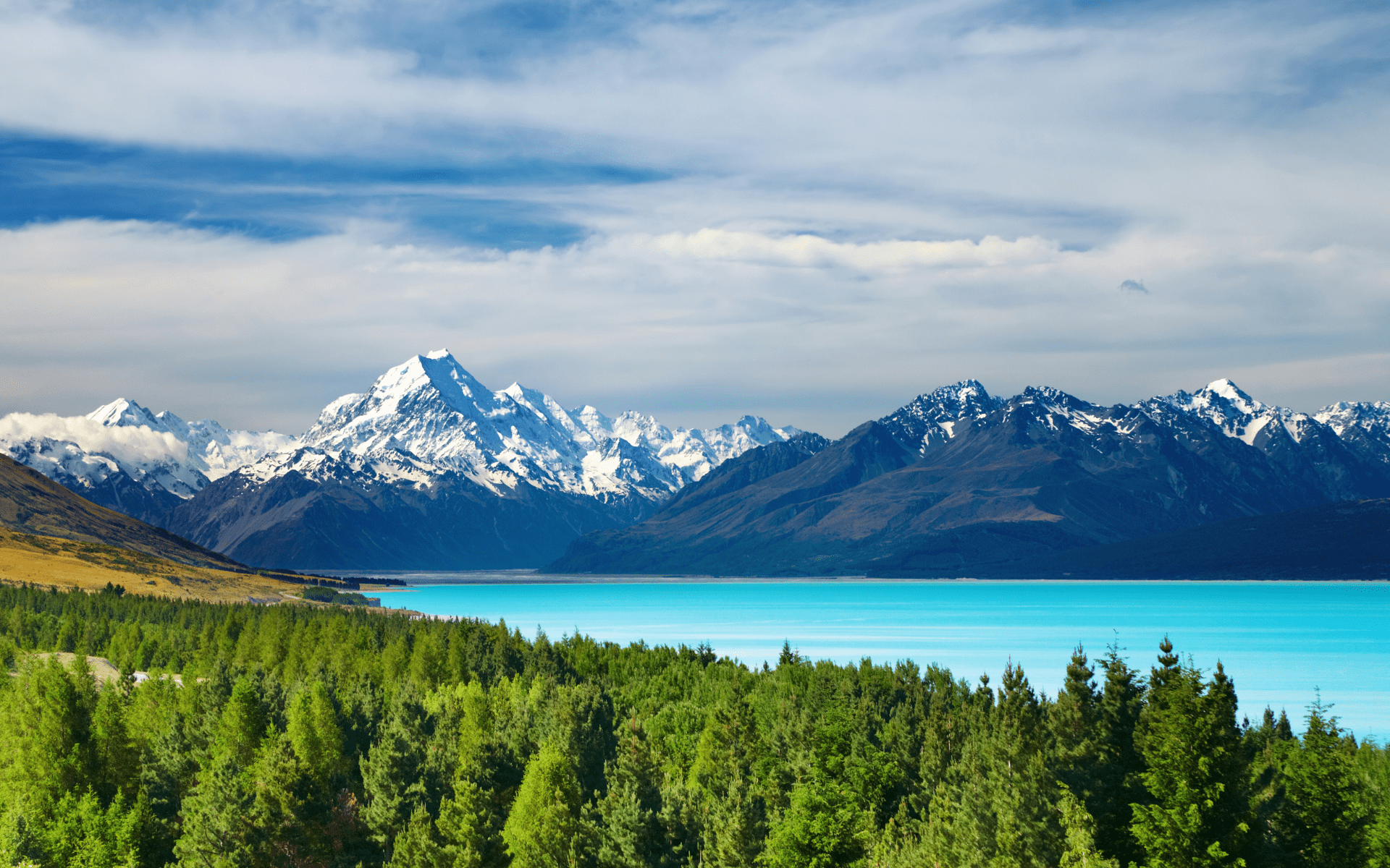 Immigrate to New Zealand